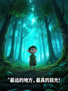 老书虫书荒推荐最远的地方，最真的目光txt小说阅读-二筒文学网