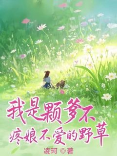 主角苏笑笑苏冉小说爆款我是颗爹不疼娘不爱的野草完整版小说