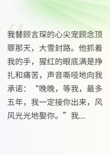 【热文】我替姐姐坐牢，他娶了我仇人主角顾言琛顾念苏晴晴小说全集免费阅读