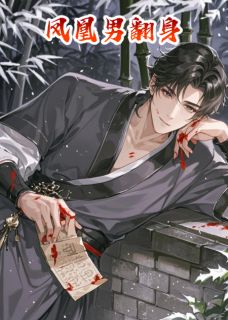 凤凰男翻身无弹窗在线阅读