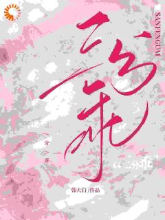 韩湛时音结局是什么 韩湛时音免费阅读全文