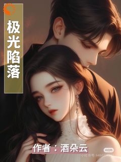 极光陷落小说全集(苏晚晴顾沉舟)无弹窗广告阅读-二筒文学网