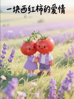 小说推荐一块西红柿的爱情完结版全章节阅读-二筒文学网