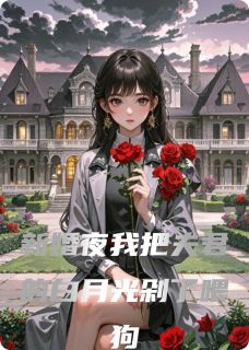 新婚夜我把夫君的白月光剁了喂狗沈兰若徐韶仪小说_新婚夜我把夫君的白月光剁了喂狗完结版阅读-二筒文学网