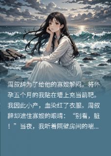 周叙辞沈瑶全本章节在线阅读大结局-二筒文学网