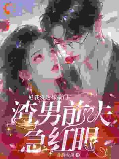 主角秦醒月厉烬霆的小说作者落落大侃