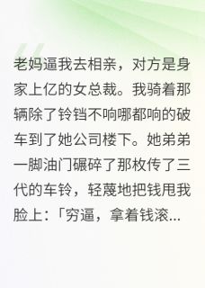 我妈说我再不结婚，她就死给我看顾盼儿黄俊杰苏尘全章节在线阅读-二筒文学网