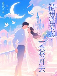 主角是阮清欢江砚舟的小说叫什么错溺温柔海，一念焚舟去免费全文阅读-二筒文学网