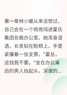 新书推荐怀着他的孩子嫁给他完整版小说-林小暖霍景深最新章节阅读-二筒文学网
