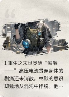 重生之钢铁纪元[抖音]小说-林默赵磊无删减阅读-二筒文学网