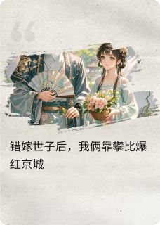 苏婉清赵珩错嫁世子后，我俩靠攀比爆红京城小说完整版