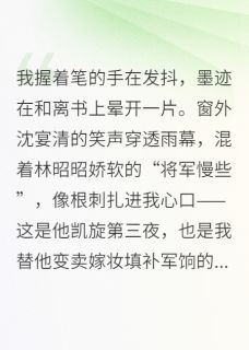和离后，我成了太后义女富可敌国小说主角是翠缕沈宴清林昭昭全文完整版阅读
