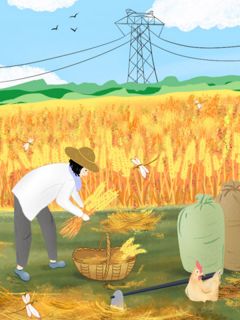 主角云初陈卫军岑慧芳小说完整版最新章节-生日当天，我向妈妈下跪免费阅读全文