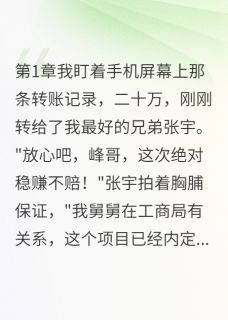 兄弟骗我钱开店我举报他坐十年牢（全本）张宇张磊完整章节列表免费阅读-二筒文学网