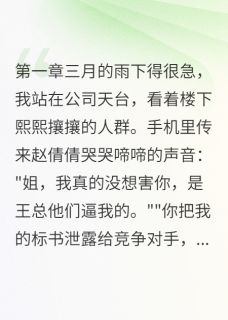 赵倩倩陈雨完整版重生后我让贪污上司坐牢十年全文最新阅读-二筒文学网