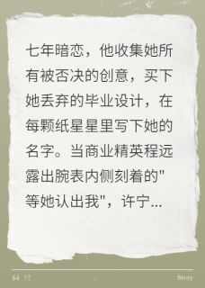 星痕不晚(程远许宁)小说全章节目录阅读