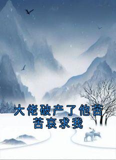 爆款小说大佬破产了他苦苦哀求我在线阅读-沈怀川柳莺莺苏沐沐免费阅读-二筒文学网