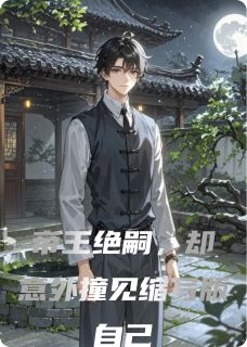 帝王绝嗣，却意外撞见缩写版自己小说免费阅读 姬衍姬辰大结局完整版