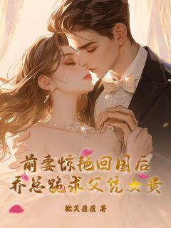 无广告小说前妻惊艳回国后，乔总跪求父凭女贵-苏禾乔南州在线阅读