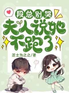 林盛夏段聿川小说全文免费阅读段总别哭，夫人说她不跑了全文免费阅读-二筒文学网