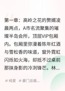 南栀向暖北枝寒的小说我把豪门小奶狗赘婿养成了大总裁全文阅读-二筒文学网