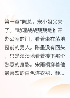 爆款小说深爱三年，她竟是商业间谍-主角陈墨宋雨桐在线阅读-二筒文学网