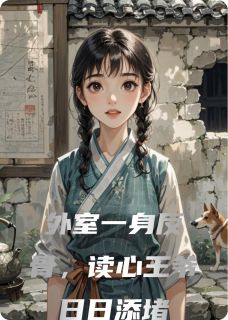 完整版外室一身反骨，读心王爷日日添堵凌霜雷风小说免费在线阅读-二筒文学网
