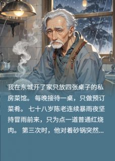 小灶私房雨夜客小说(完整版)-林晚苏惠兰章节阅读