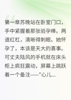小三上门时我刚验出怀孕抖音全本小说苏晚陆风抖音免费章节阅读-二筒文学网