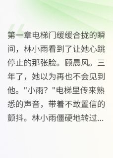 实习第一天撞见初恋上司(新书)小说_林小雨顾晨风苏婉婷阅读