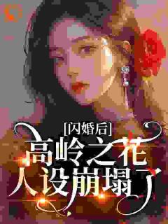 闪婚后，高岭之花人设崩塌了(青筱筱小说)小说最新章节-二筒文学网