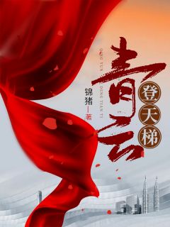 青云登天梯免费小说作者锦猪全文阅读