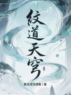 纹道天穹主角是林言灵纹苏瑶小说百度云全文完整版阅读