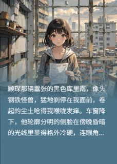 离婚那天，我揣上了他的崽小说最新章节 思晚顾琛沈砚结局是什么-二筒文学网