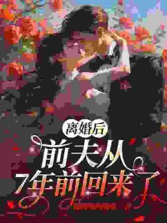 主角是迟砚棠岑御琛的霸总失忆后，我们又热恋了抖音热门小说