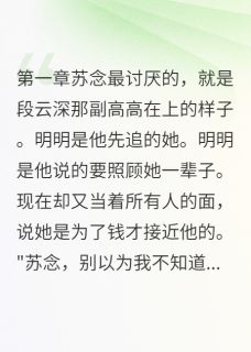 段少追妻路漫漫小说(完结)-苏念段云深无删减阅读-二筒文学网