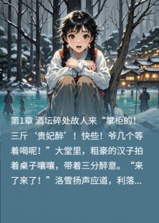 洛雪萧彻是哪部小说的主角 洛雪萧彻全文阅读-二筒文学网