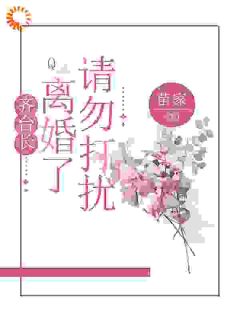 齐台长，离婚了请勿打扰by苗家(薛灿齐凛)未删节免费阅读