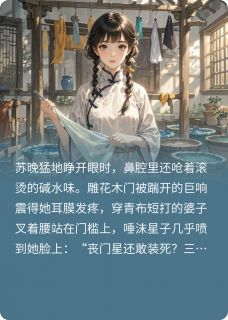 抖音染坊重生小说章节阅读-二筒文学网