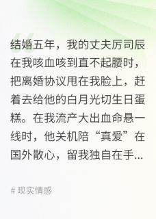 （全本）丈夫带小三登堂，我果断离婚主角厉司辰林薇全文目录畅读-二筒文学网