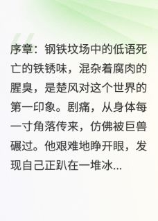 钢铁御兽：天才驭灵师穿越废土by松鼠豆(楚风林语)未删节免费阅读-二筒文学网