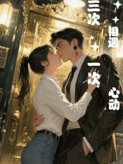 爆款小说三次相遇，一次心动在线阅读-林晚星陆沉免费阅读