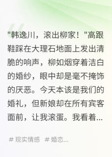 豪门弃婿三年后我摊牌了在哪免费看，柳如烟韩逸川小说章节目录阅读