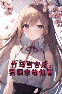 爆款热文顾云琛谢明棠在线阅读-竹马当官后，我相亲给他看全章节列表-二筒文学网