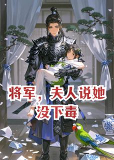 良心推荐将军，夫人说她没下毒小说试读-二筒文学网