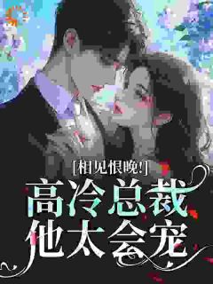 火爆相见恨晚！高冷总裁他太会宠小说，主角是岑念靳司扬在线阅读全文无删减-二筒文学网