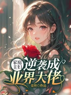家庭主妇逆袭成业界大佬小说主角是沈忆叶培林宋曼全文完整版阅读