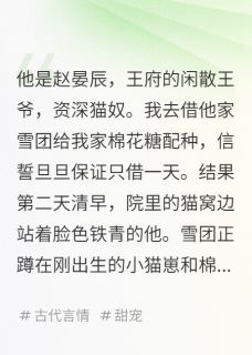 雪团赵晏辰是什么小说免费版阅读抖音热文