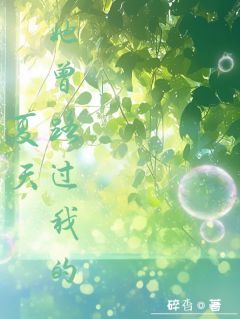 她曾路过我的夏天（全本）宋微澜陆昭完整章节列表免费阅读