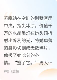 南风知我意，星辰入我怀小说最新章节-主角苏晚顾言琛陆庭洲全文免费阅读